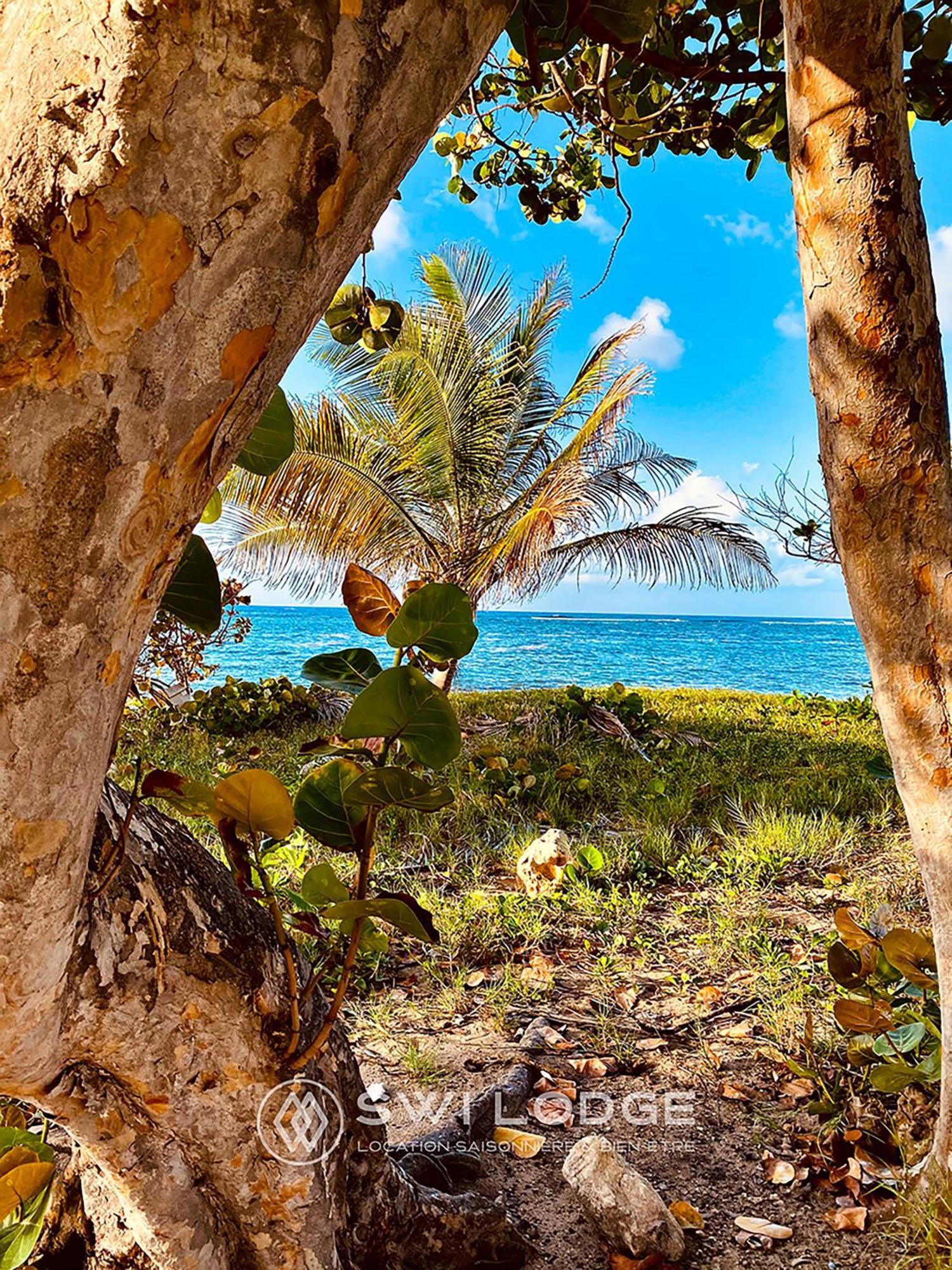 Swilodge Vue Sur Mer ! Petit Dejeuner Et Location De Voiture Possible ル・ムル エクステリア 写真